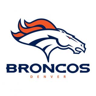 Denver Broncos - Cooler Quad Chair