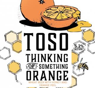 Verboten Brewing - Thinking of Something Orange (6 pack cans) (6 pack cans)