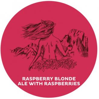 4 Noses Brewing Company - Raspberry Blonde (6 pack cans) (6 pack cans)