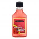 Dekuyper Pucker - Watermelon Traveler (750)